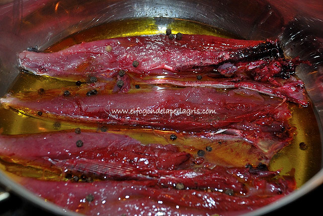 Filetes de melva metidos en aceite de oliva