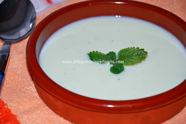 Sopa fría de melón y Melisa